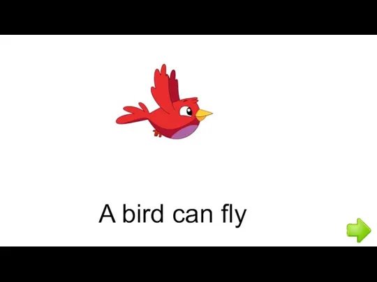 A bird can fly
