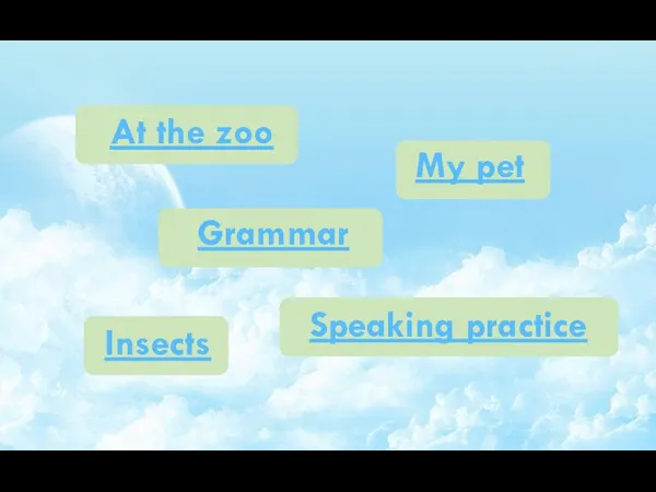 At the zoo My pet Insects Grammar Speaking practice