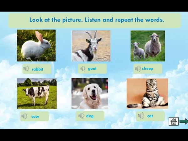 Look at the picture. Listen and repeat the words. goat rabbit sheep dog cow cat