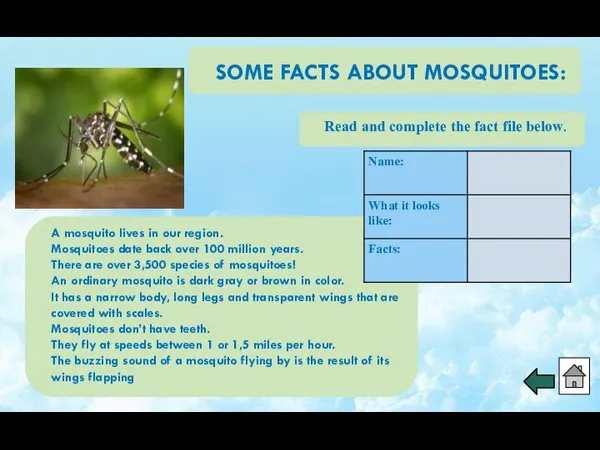 SOME FACTS ABOUT MOSQUITOES: Read and complete the fact file