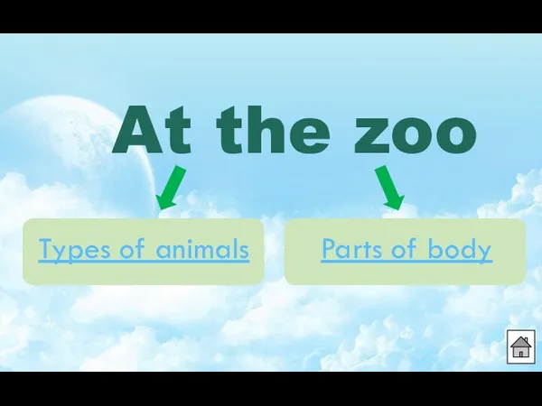 Parts of body Types of animals At the zoo