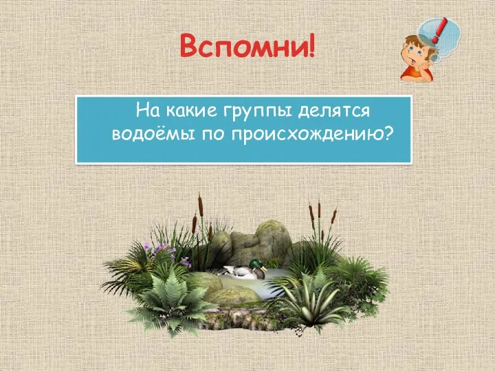 Вспомни! На какие группы делятся водоёмы по происхождению?