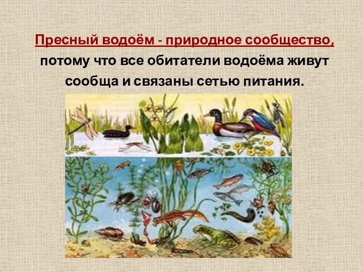 Пресный водоём - природное сообщество, потому что все обитатели водоёма живут сообща и связаны сетью питания.