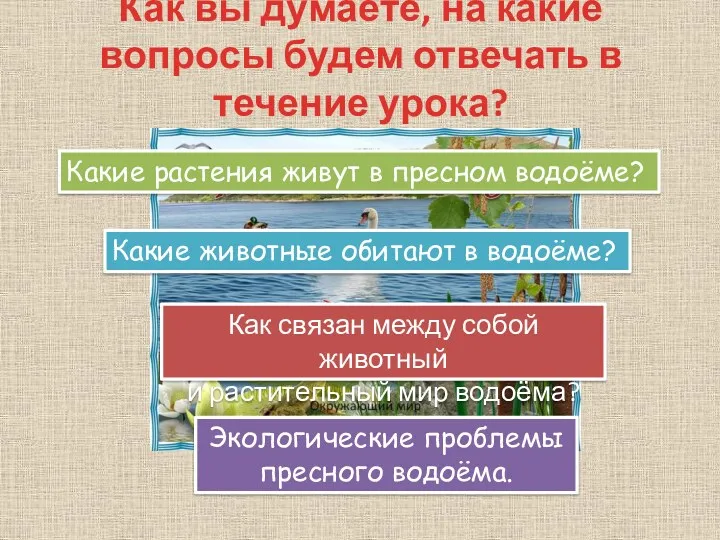 Как вы думаете, на какие вопросы будем отвечать в течение