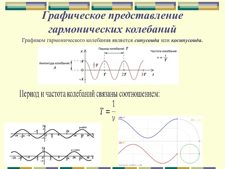 Графическое представление гармонических колебаний Графиком гармонического колебания является синусоида или косинусоида.