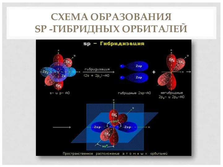 СХЕМА ОБРАЗОВАНИЯ SP -ГИБРИДНЫХ ОРБИТАЛЕЙ