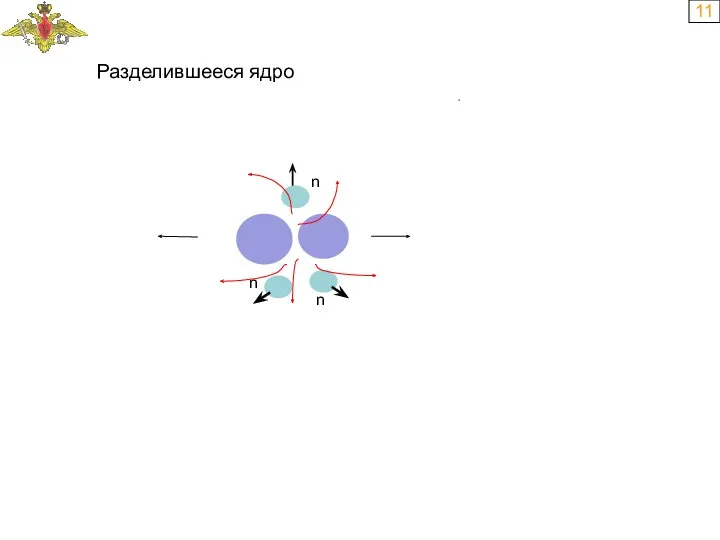 11 n n n Разделившееся ядро