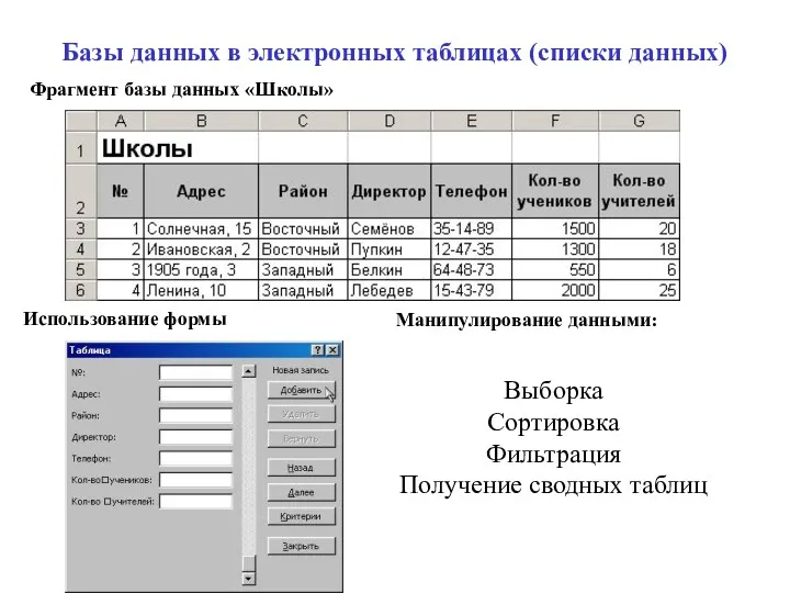 Базы данных в электронных таблицах (списки данных) Фрагмент базы данных