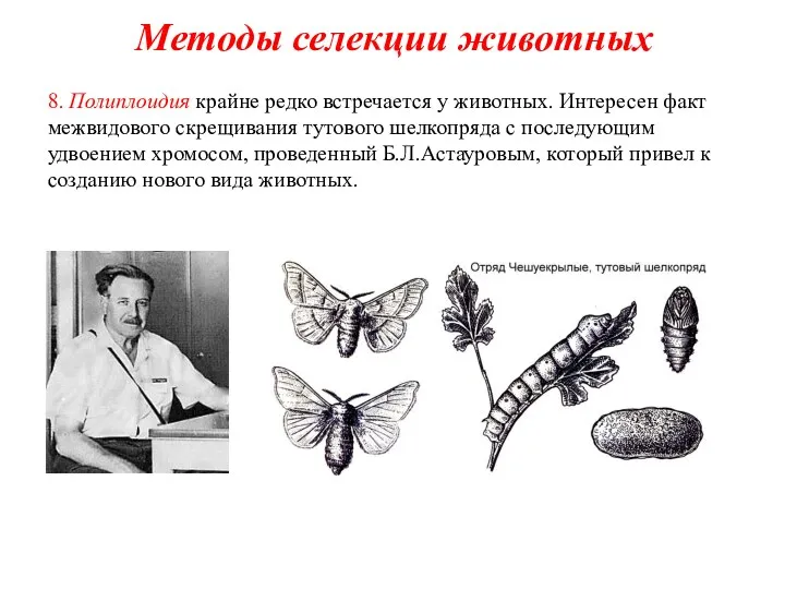 8. Полиплоидия крайне редко встречается у животных. Интересен факт межвидового