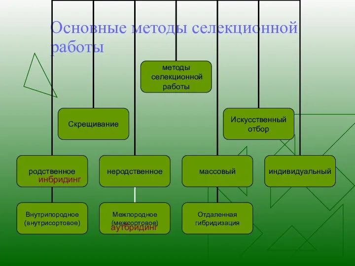 Основные методы селекционной работы инбридинг аутбридинг