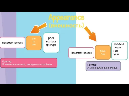 Appearance (внешность) рост возраст фигура Предмет\Человек am is are Предмет\Человек