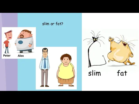 slim or fat? slim fat