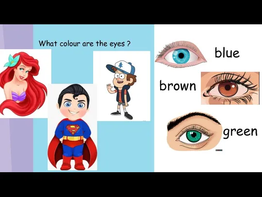 What colour are the eyes ? green blue brown