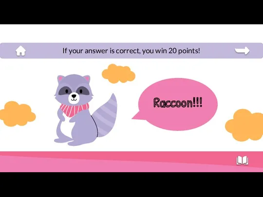 Raccoon!!! If your answer is correct, you win 20 points!