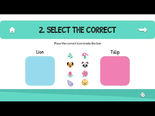 2. SELECT THE CORRECT Tulip Lion Place the correct icon inside the box