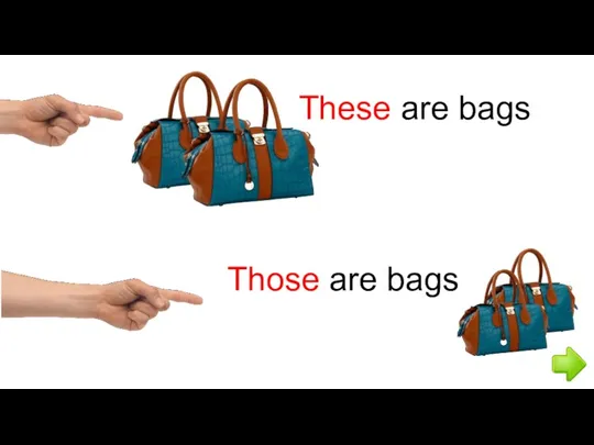 These are bags Those are bags