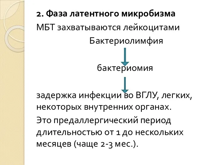 2. Фаза латентного микробизма МБТ захватываются лейкоцитами Бактериолимфия бактериомия задержка