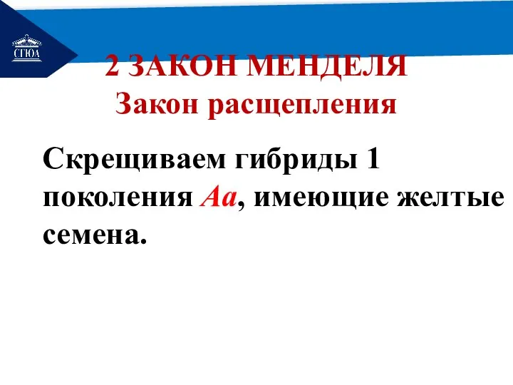 РЕМОНТ 2 ЗАКОН МЕНДЕЛЯ Закон расщепления Скрещиваем гибриды 1 поколения Аа, имеющие желтые семена.