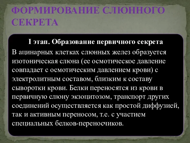 I этап. Образование первичного секрета В ацинарных клетках слюнных желез