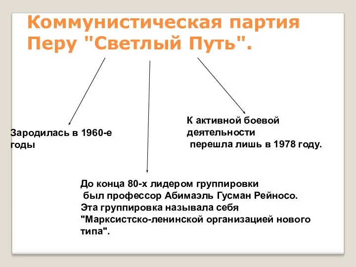 Коммунистическая партия Перу "Светлый Путь". Зародилась в 1960-е годы К