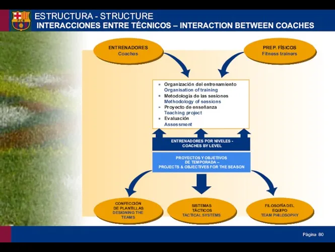 ESTRUCTURA - STRUCTURE INTERACCIONES ENTRE TÉCNICOS – INTERACTION BETWEEN COACHES