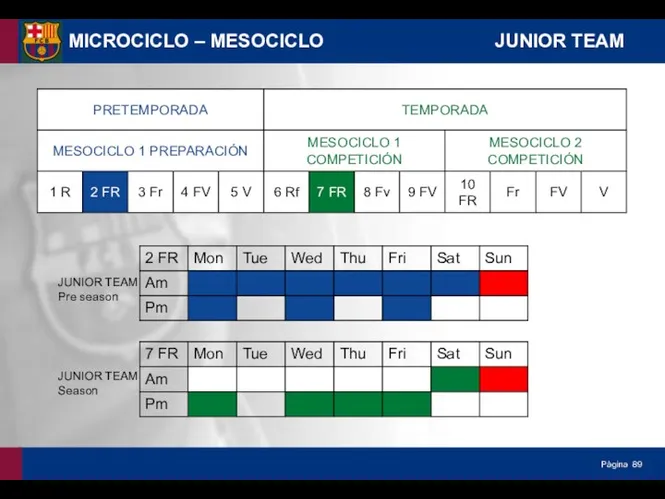 MICROCICLO – MESOCICLO JUNIOR TEAM JUNIOR TEAM Pre season JUNIOR TEAM Season