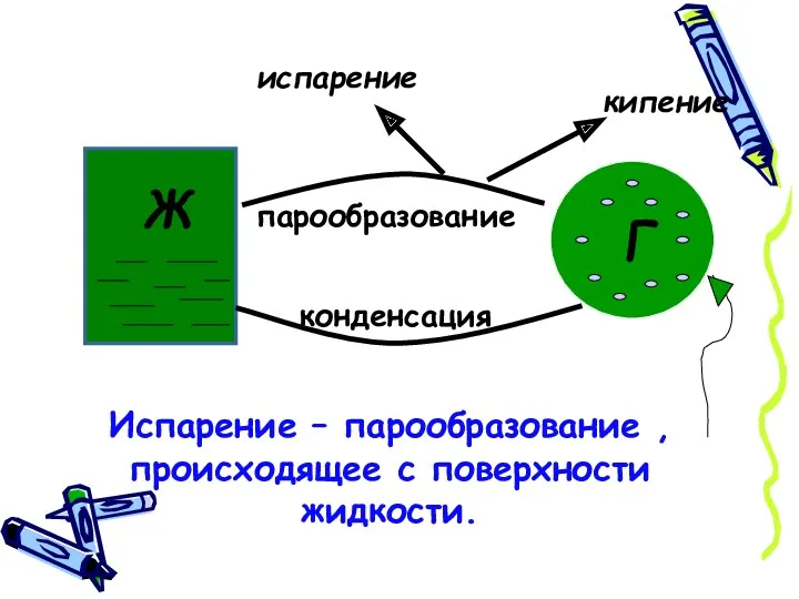 Ж Г парообразование конденсация кипение испарение Испарение – парообразование , происходящее с поверхности жидкости.