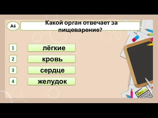 сердце лёгкие кровь желудок 1 2 3 4 А6 Какой орган отвечает за пищеварение?