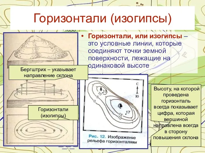 Горизонтали (изогипсы) Горизонтали, или изогипсы – это условные линии, которые