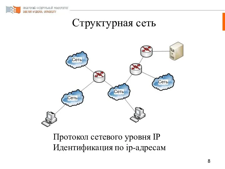 Структурная сеть Протокол сетевого уровня IP Идентификация по ip-адресам