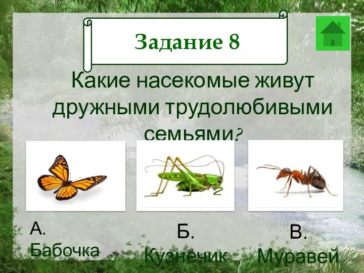 Задание 12 Какие насекомые живут дружными трудолюбивыми семьями? А. Бабочка Б. Кузнечик В. Муравей Задание 8