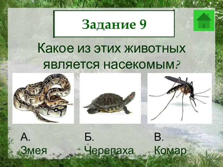 Какое из этих животных является насекомым? Задание 9 А. Змея Б. Черепаха В. Комар
