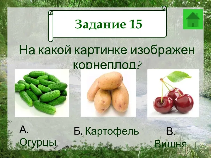 Задание 12 На какой картинке изображен корнеплод? А. Огурцы Б. Картофель В. Вишня Задание 15