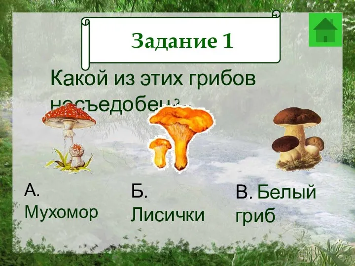 Задание 12 Какой из этих грибов несъедобен? А. Мухомор Б. Лисички В. Белый гриб Задание 1