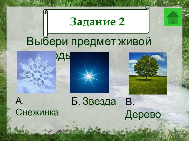 Задание 12 Выбери предмет живой природы А. Снежинка Б. Звезда В. Дерево Задание 2