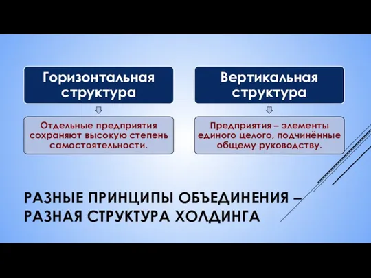 РАЗНЫЕ ПРИНЦИПЫ ОБЪЕДИНЕНИЯ – РАЗНАЯ СТРУКТУРА ХОЛДИНГА