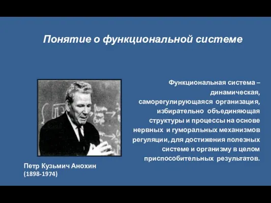 Функциональная система – динамическая, саморегулирующаяся организация, избирательно объединяющая структуры и