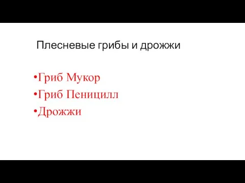 Плесневые грибы и дрожжи Гриб Мукор Гриб Пеницилл Дрожжи