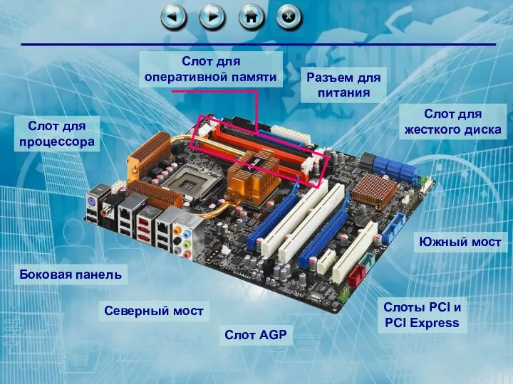 Слот для процессора Слот для оперативной памяти Слот для жесткого