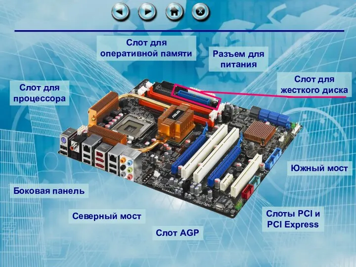 Слот для процессора Слот для оперативной памяти Слот для жесткого диска Разъем для