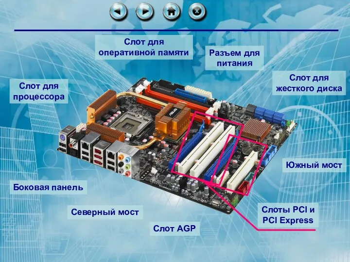 Слот для процессора Слот для оперативной памяти Слот для жесткого