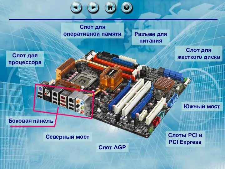 Слот для процессора Слот для оперативной памяти Слот для жесткого диска Разъем для