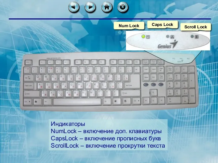 Индикаторы NumLock – включение доп. клавиатуры CapsLock – включение прописных букв ScrollLock – включение прокрутки текста