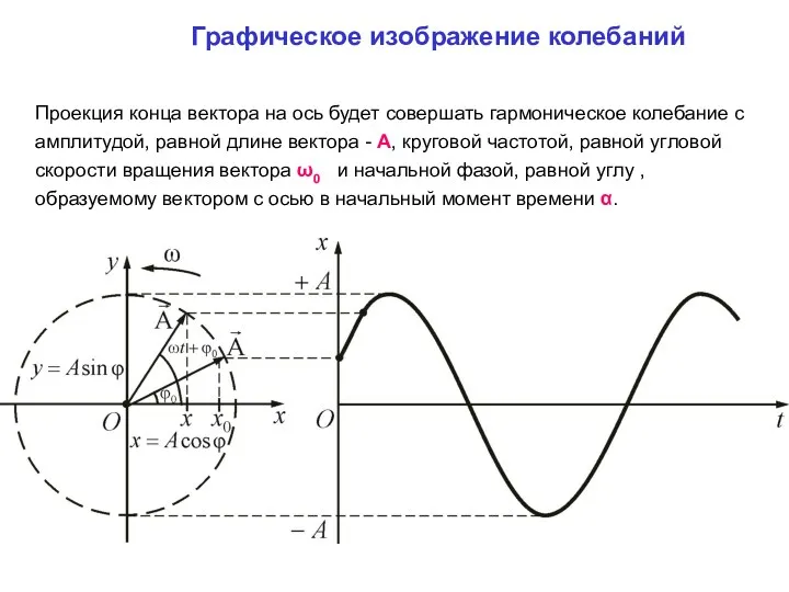 Графическое изображение колебаний Проекция конца вектора на ось будет совершать гармоническое колебание с
