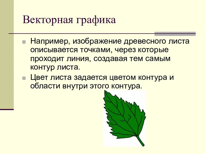 Векторная графика Например, изображение древесного листа описывается точками, через которые