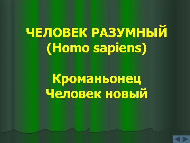 ЧЕЛОВЕК РАЗУМНЫЙ (Homo sapiens) Кроманьонец Человек новый