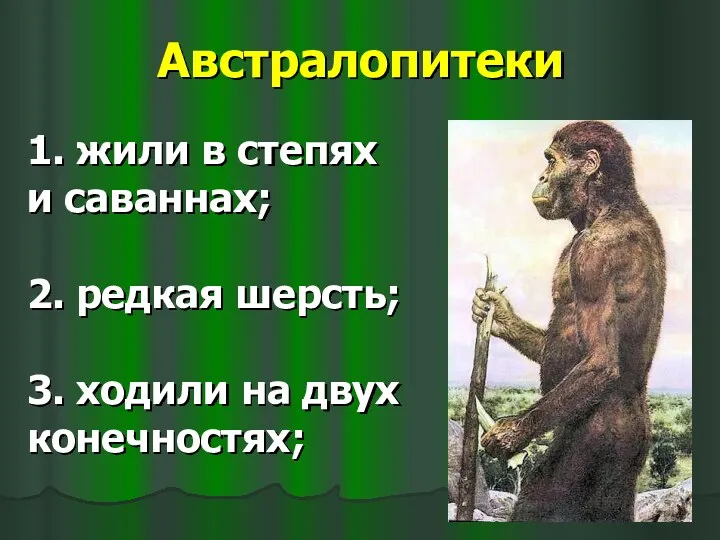 Австралопитеки 1. жили в степях и саваннах; 2. редкая шерсть; 3. ходили на двух конечностях;