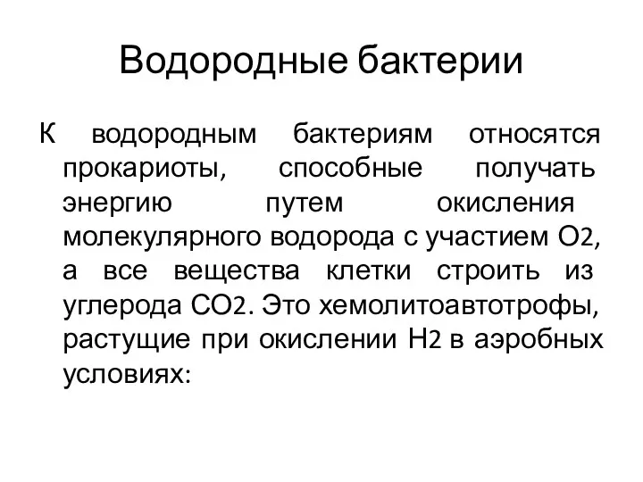 Водородные бактерии К водородным бактериям относятся прокариоты, способные получать энергию