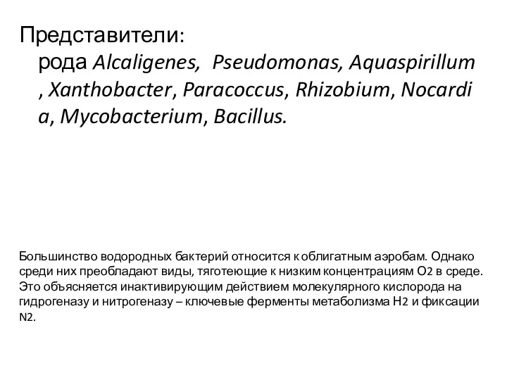 Представители: рода Alcaligenes, Pseudomonas, Aquaspirillum, Xanthobacter, Paracoccus, Rhizobium, Nocardia, Mycobacterium,