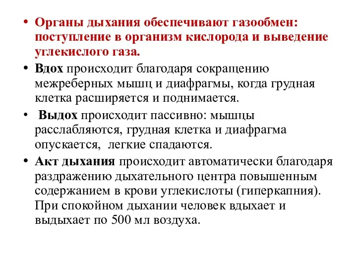 Органы дыхания обеспечивают газообмен: поступление в организм кислорода и выведение